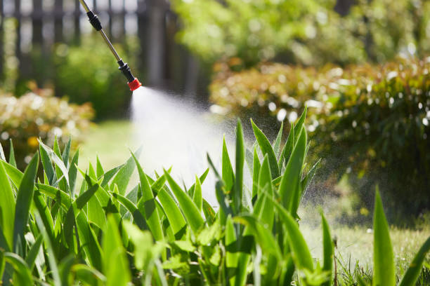 24/7 Emergency Mosquito Control experts in Trappe, MD
